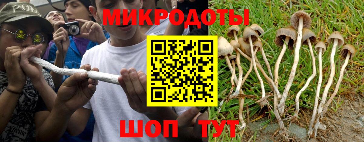 Гусь-Хрустальный  Псилоцибиновые грибы Psilocybine cubensis  Вход с VPN 